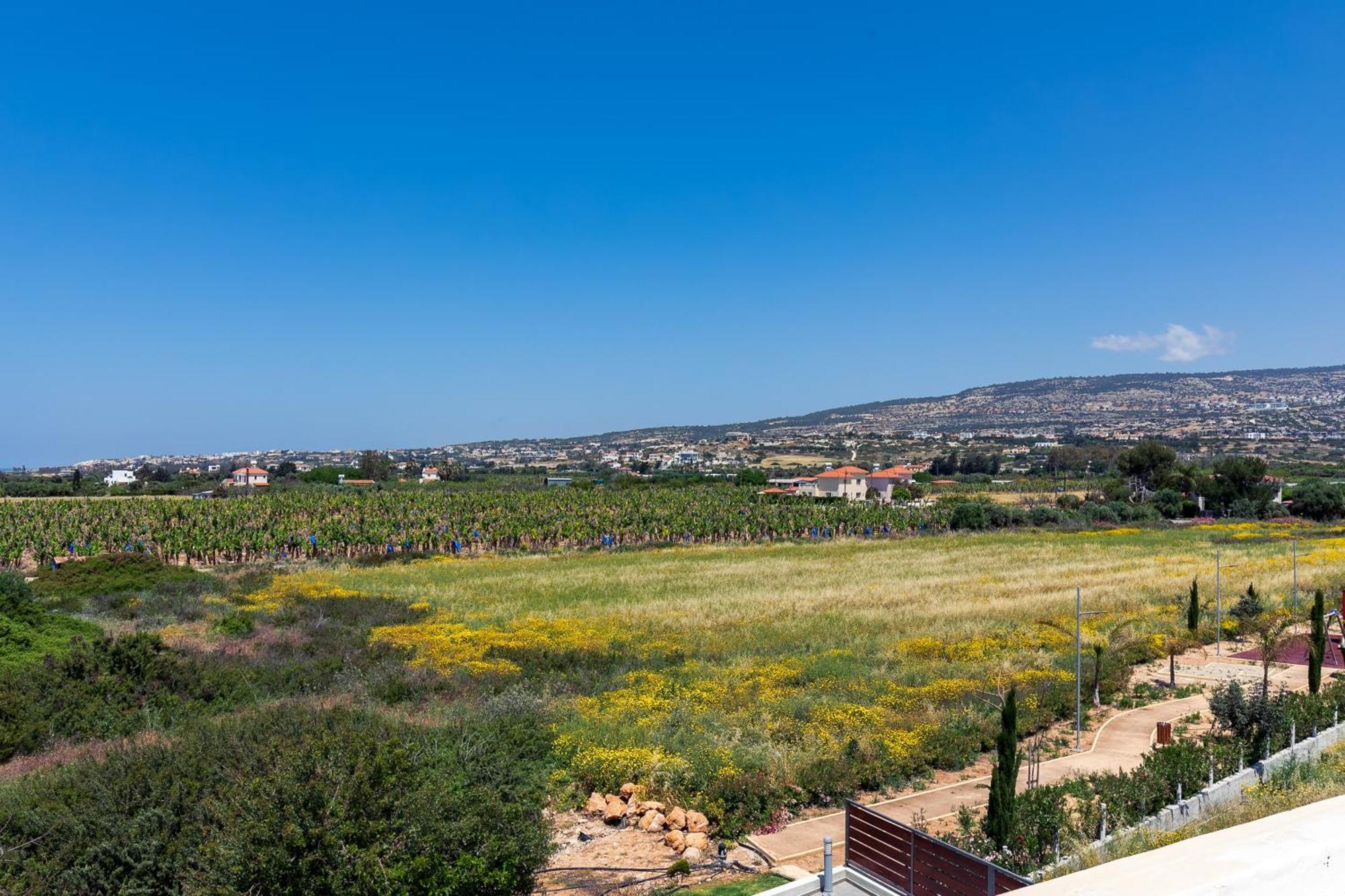 Sea Point Villas Mercan Koyu Dış mekan fotoğraf