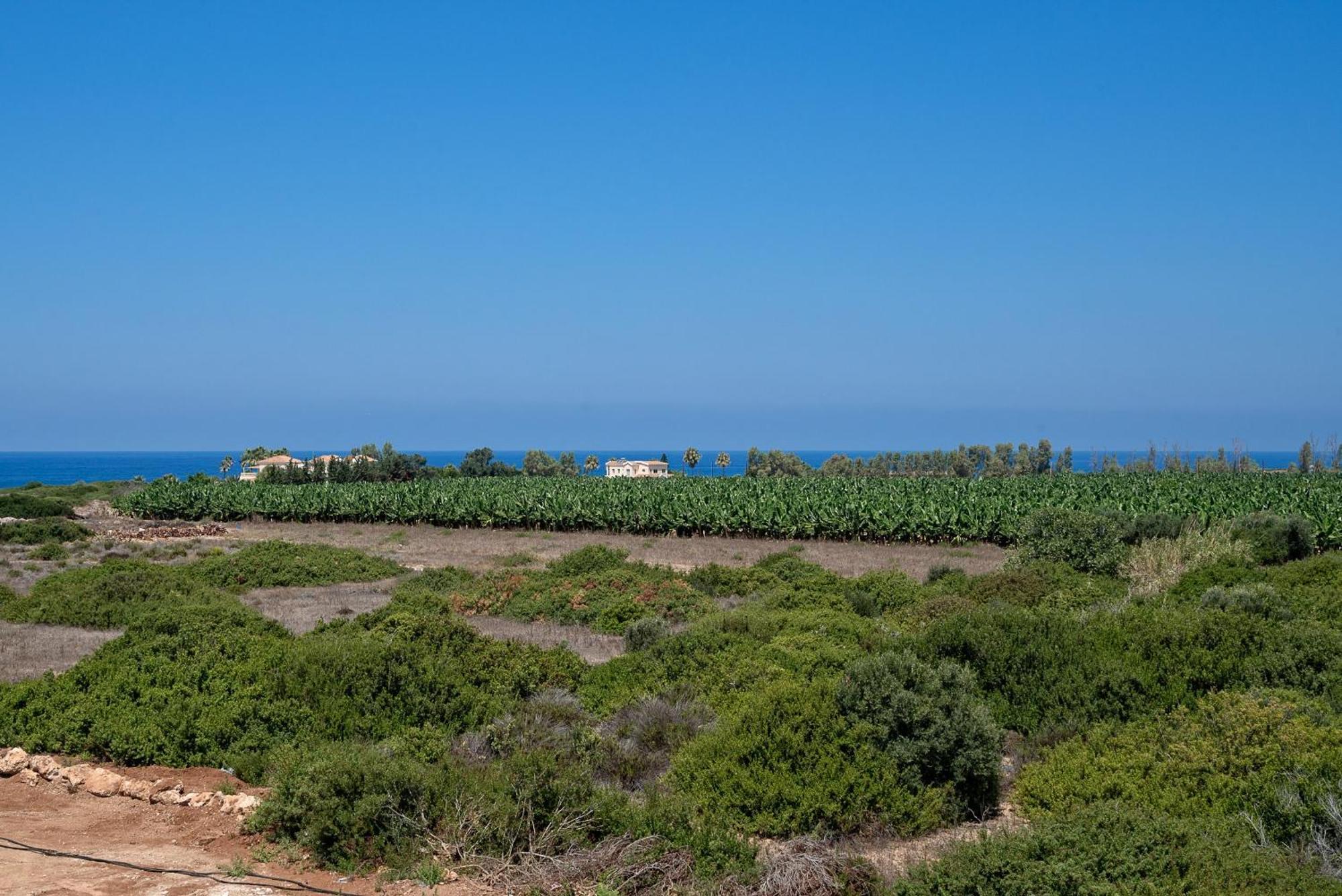 Sea Point Villas Mercan Koyu Dış mekan fotoğraf