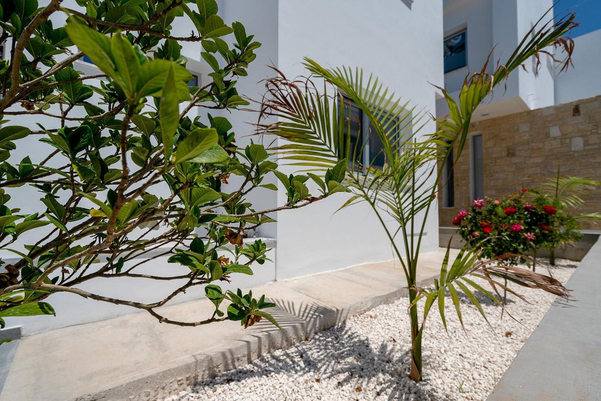 Sea Point Villas Mercan Koyu Dış mekan fotoğraf